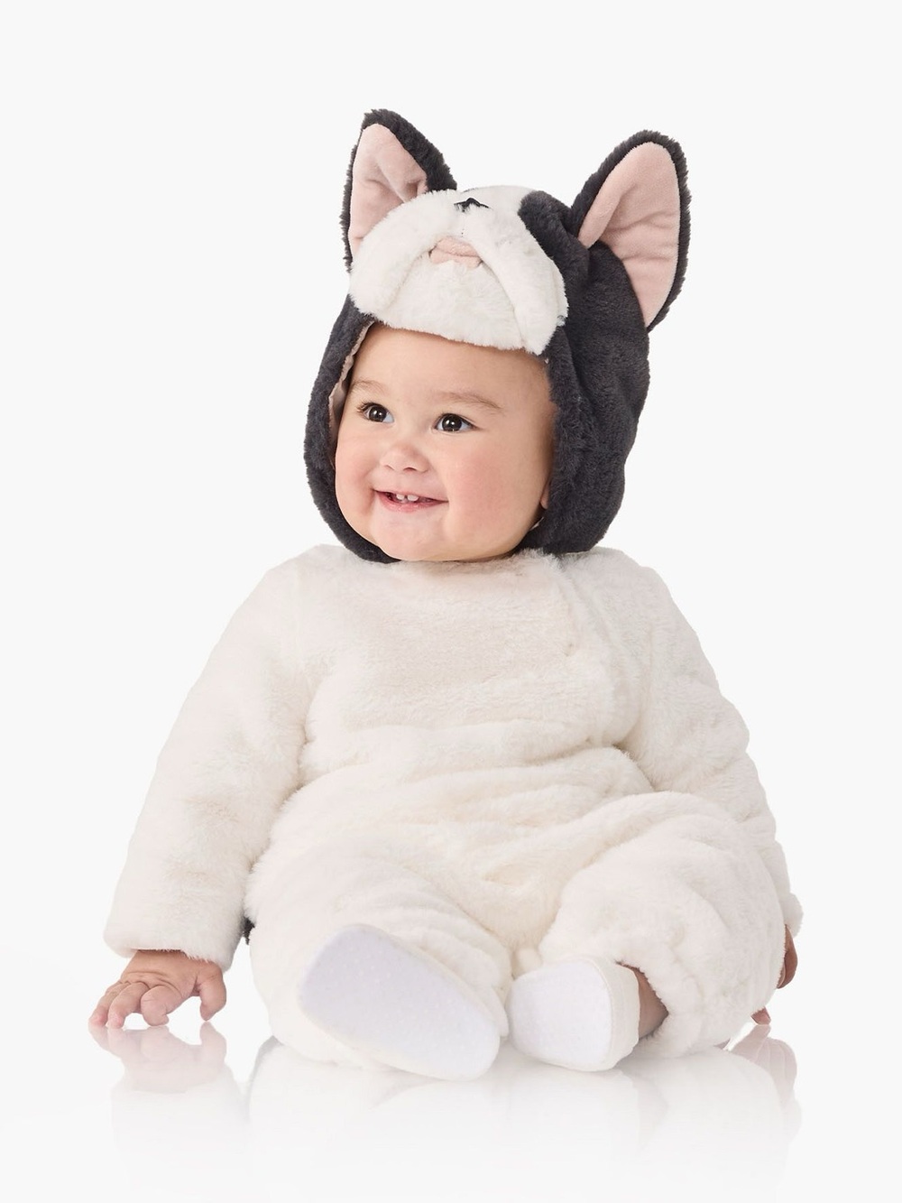 NWT Pottery Barn Kids French Bulldog Halloween Costume 12-24 mo